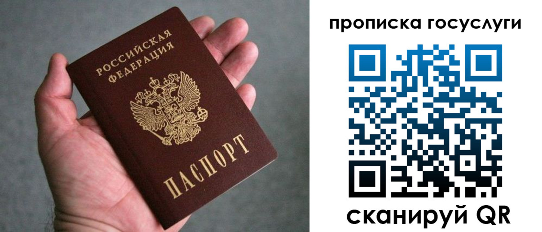 прописка 2025 в Гаврилов-Яме